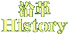 v History